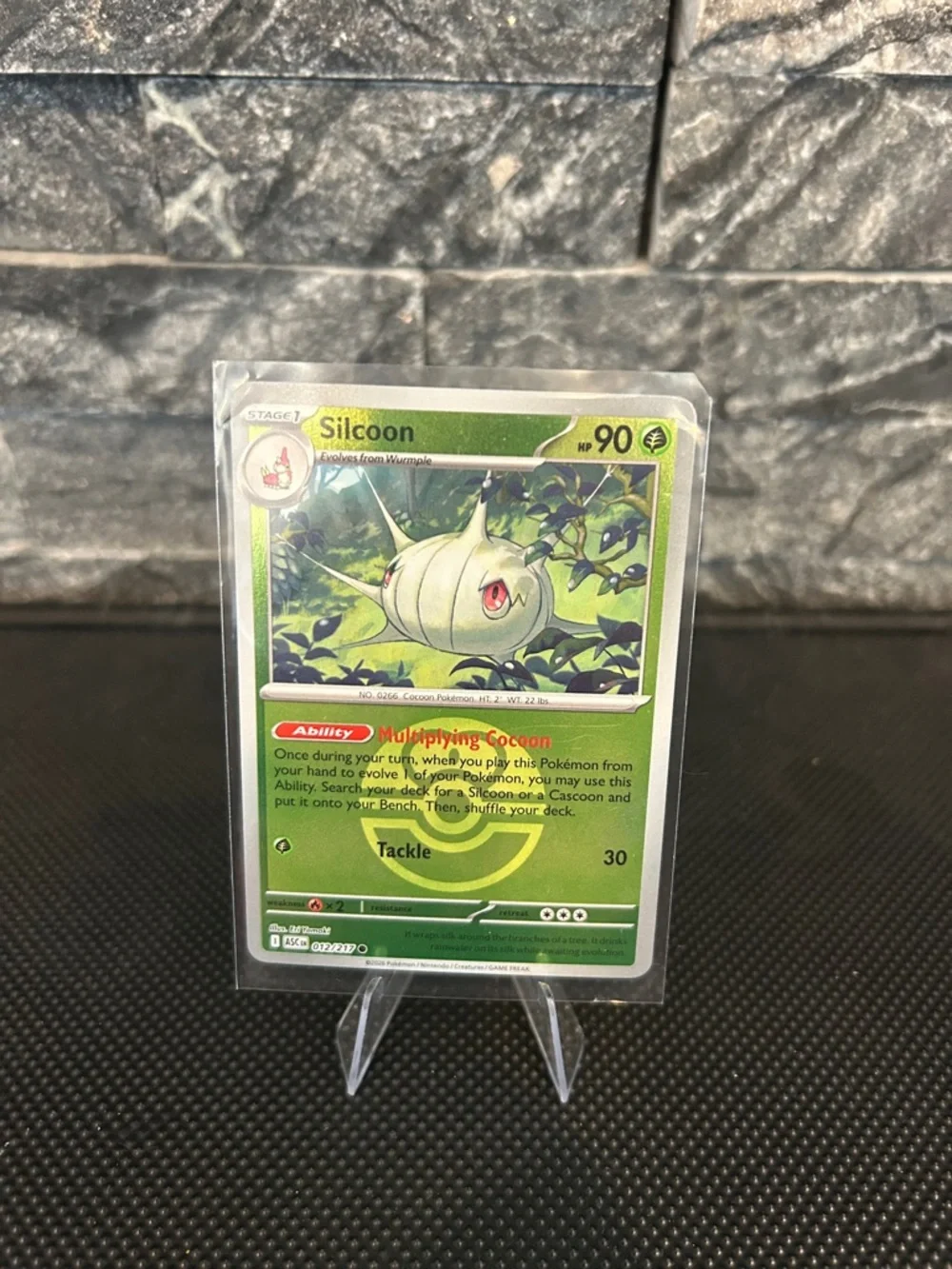 Pokemon Silcoon 012/217 Reverse Holo Rare from Ascended Heroes Set M/NM‎